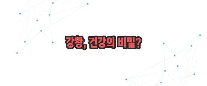 강황 효능 이보다 자세히 설명할순없다
