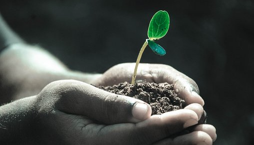 부정적인 영향력에서 자신을 지키는 법