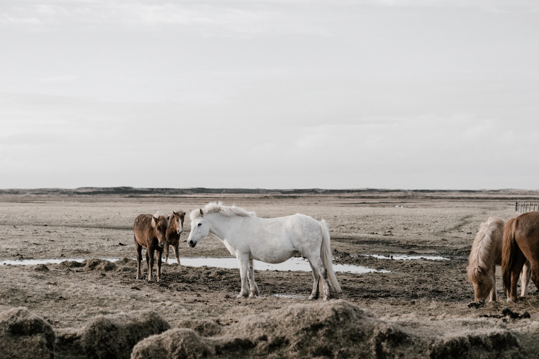 Rural