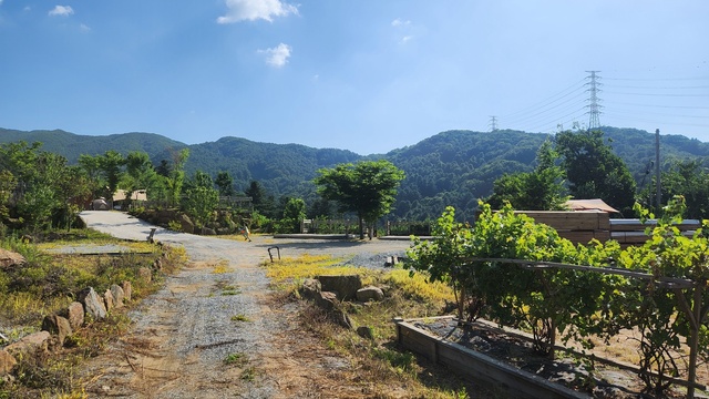 스카이존사이트