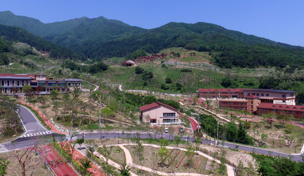 국립산림치유원