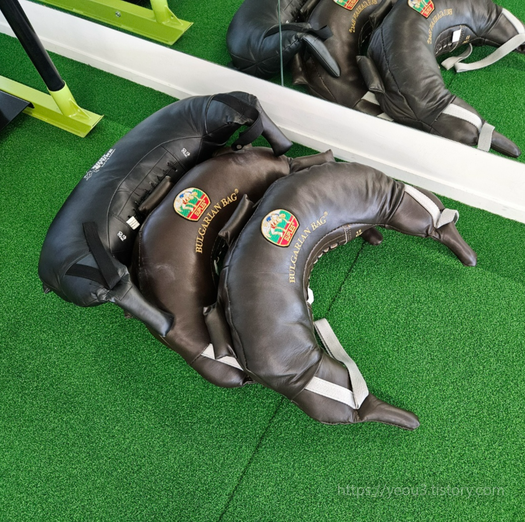 불가리안 백 도구의 사진