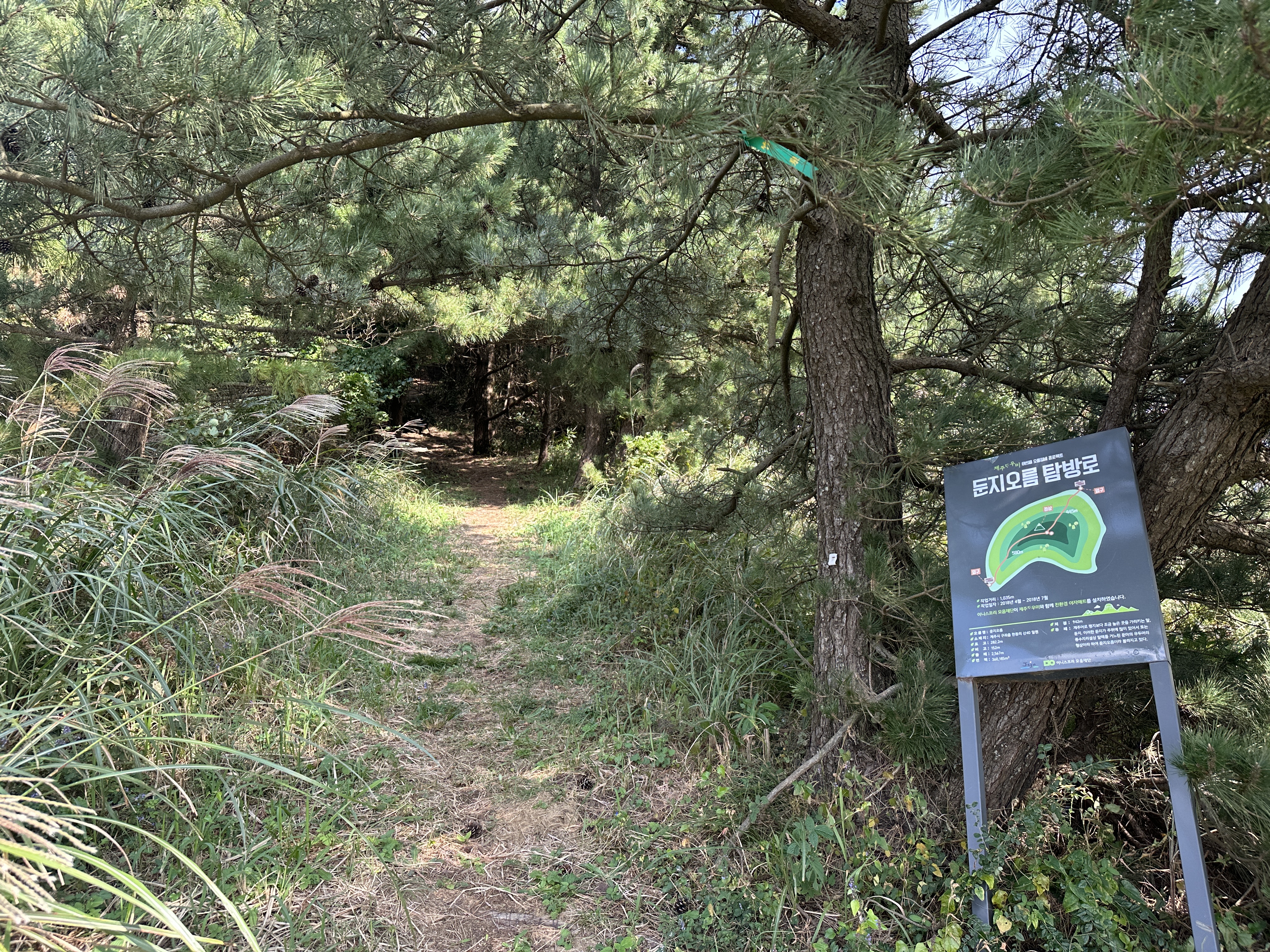 둔지오름 서쪽입구