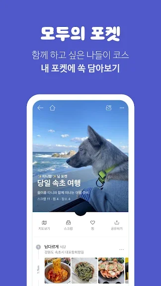 유기묘 새끼 고양이 무료 분양 어플 앱-28 유기묘 새끼 고양이 무료 분양 어플 앱-28