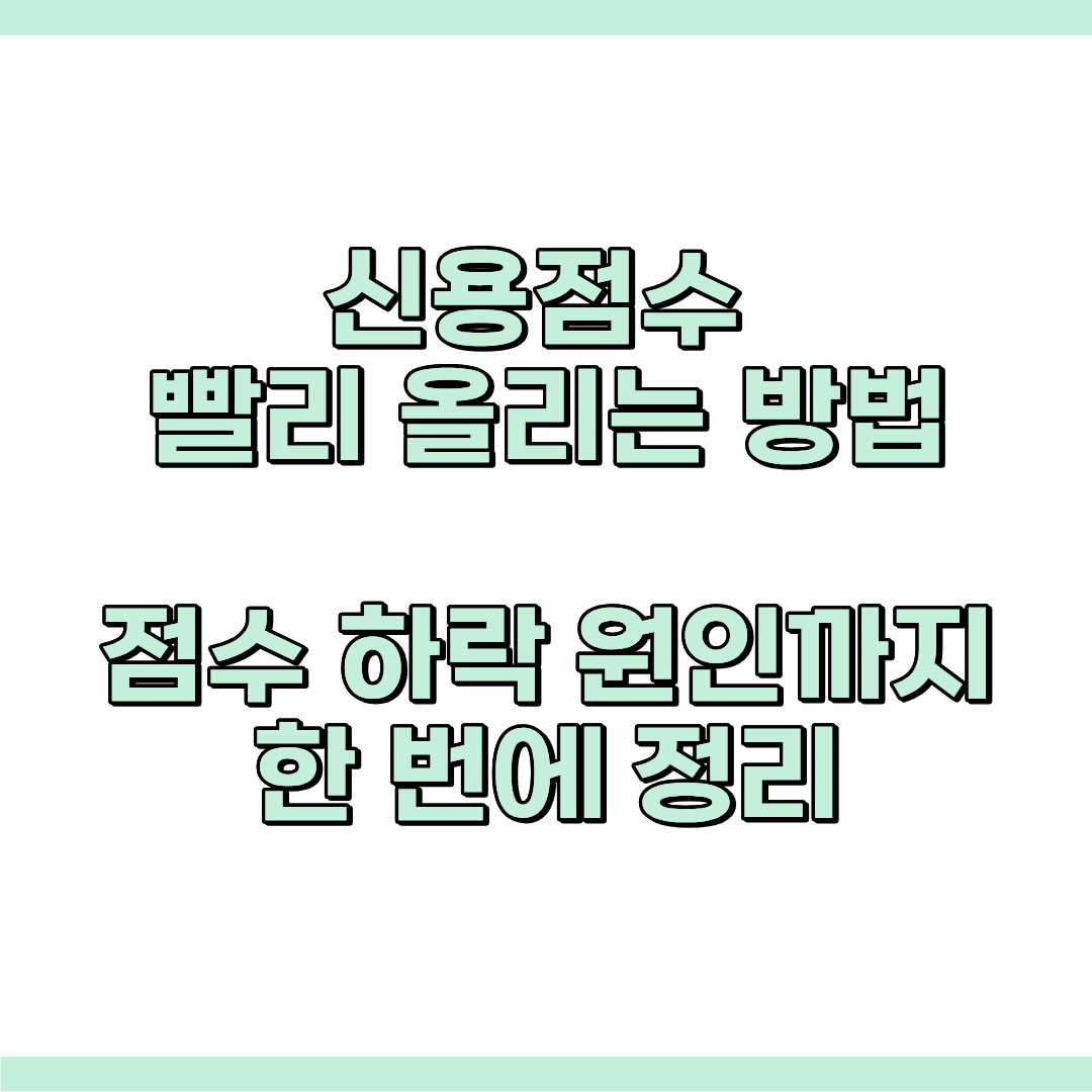 신용점수