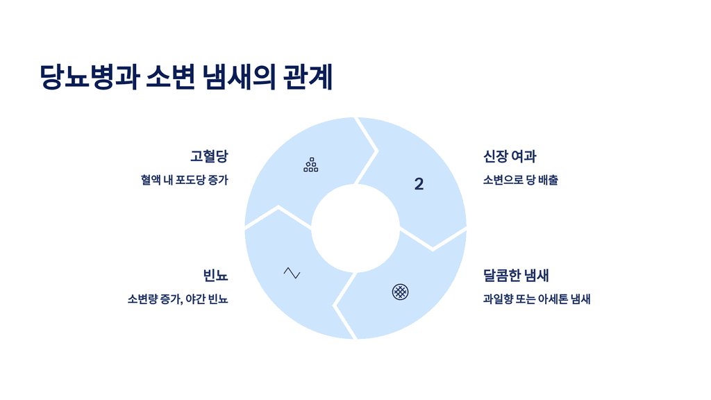 당뇨병과 소변 냄새의 관계