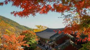 부처님오신날유명사찰