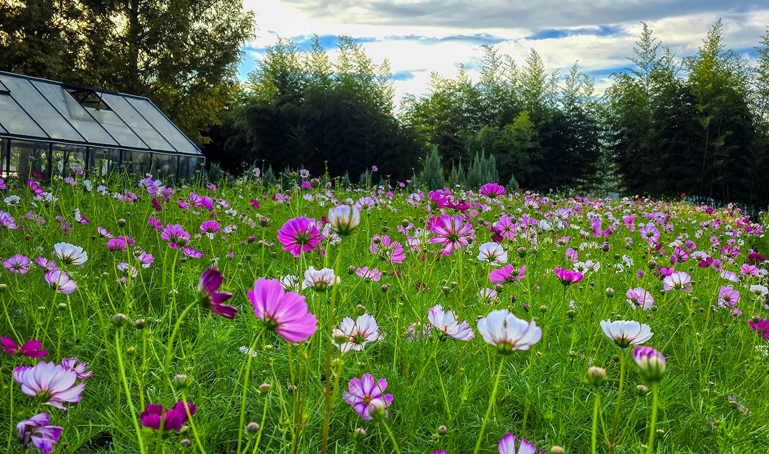 구리 한강공원- 13