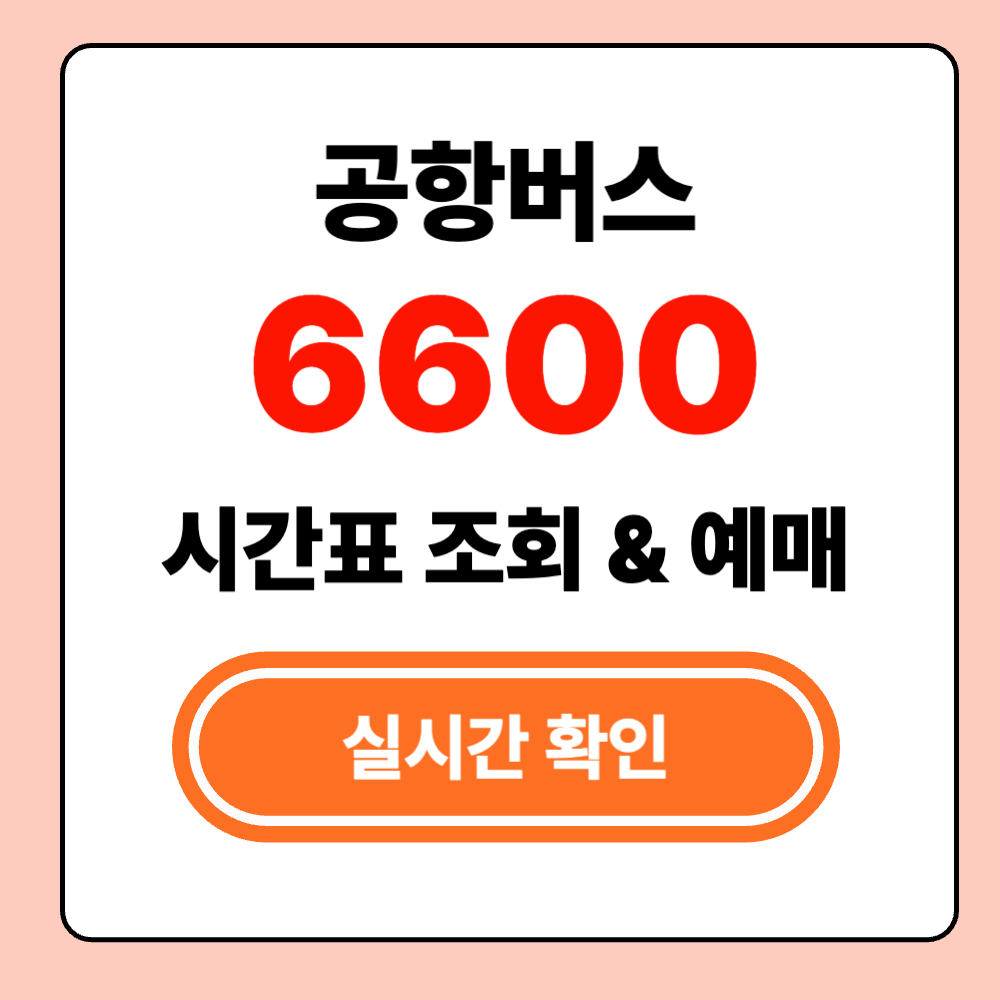 6600 공항버스 최신 시간표 확인
