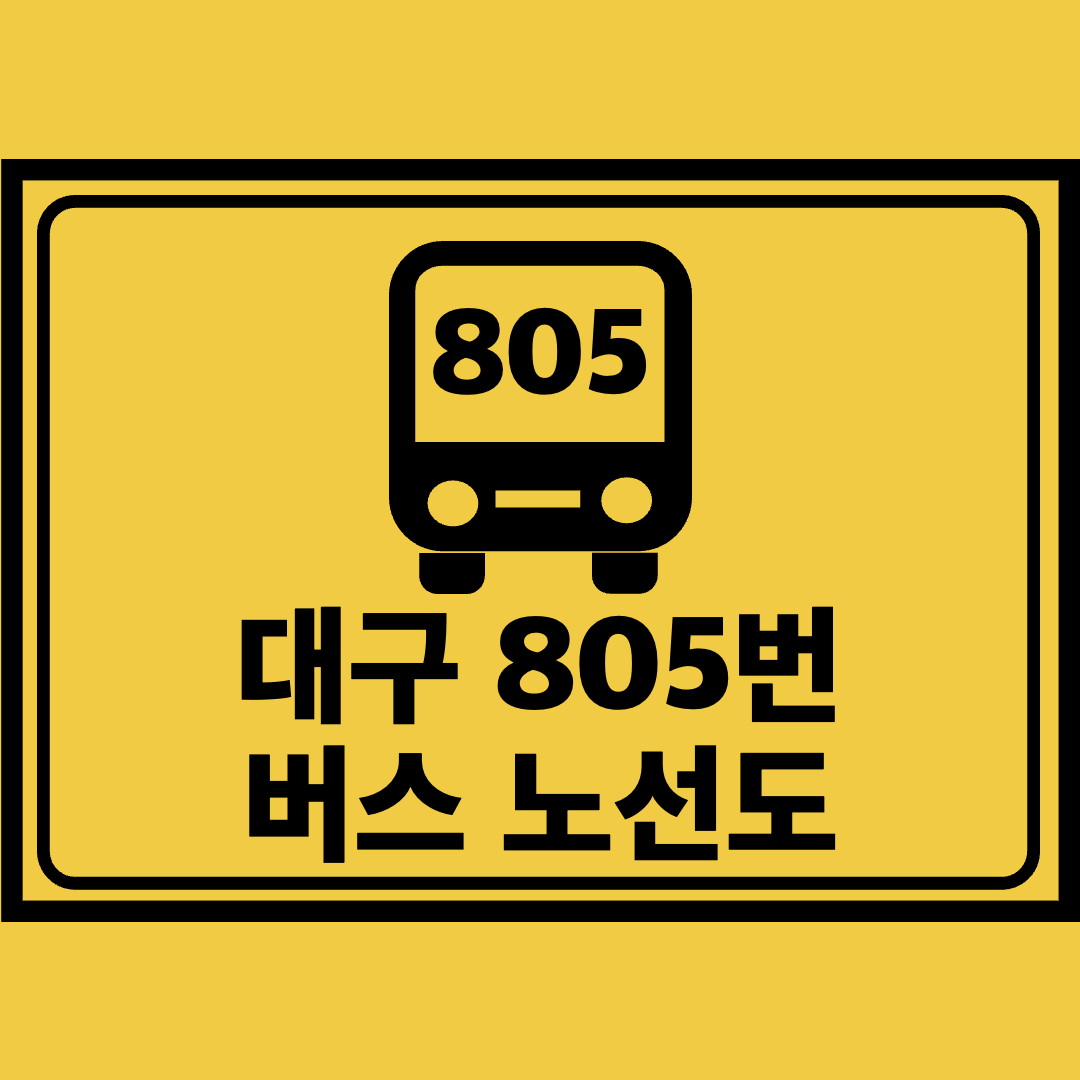 대구805번버스노선도
