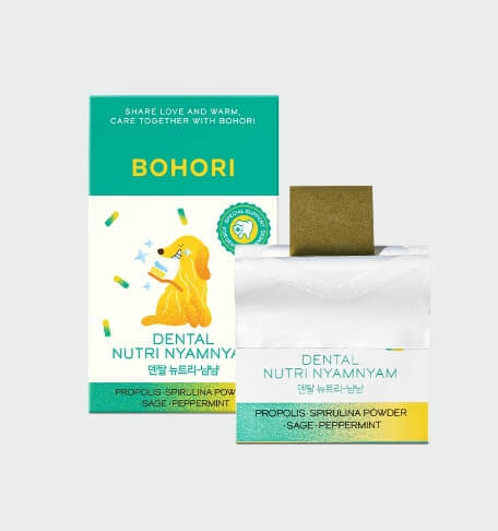 강아지 치석제거영양제