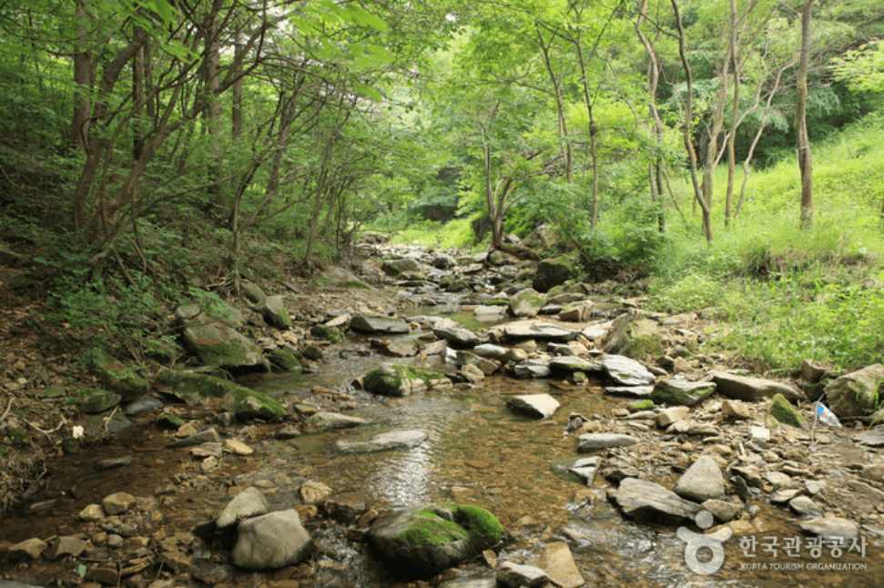 진천군 연곡계곡