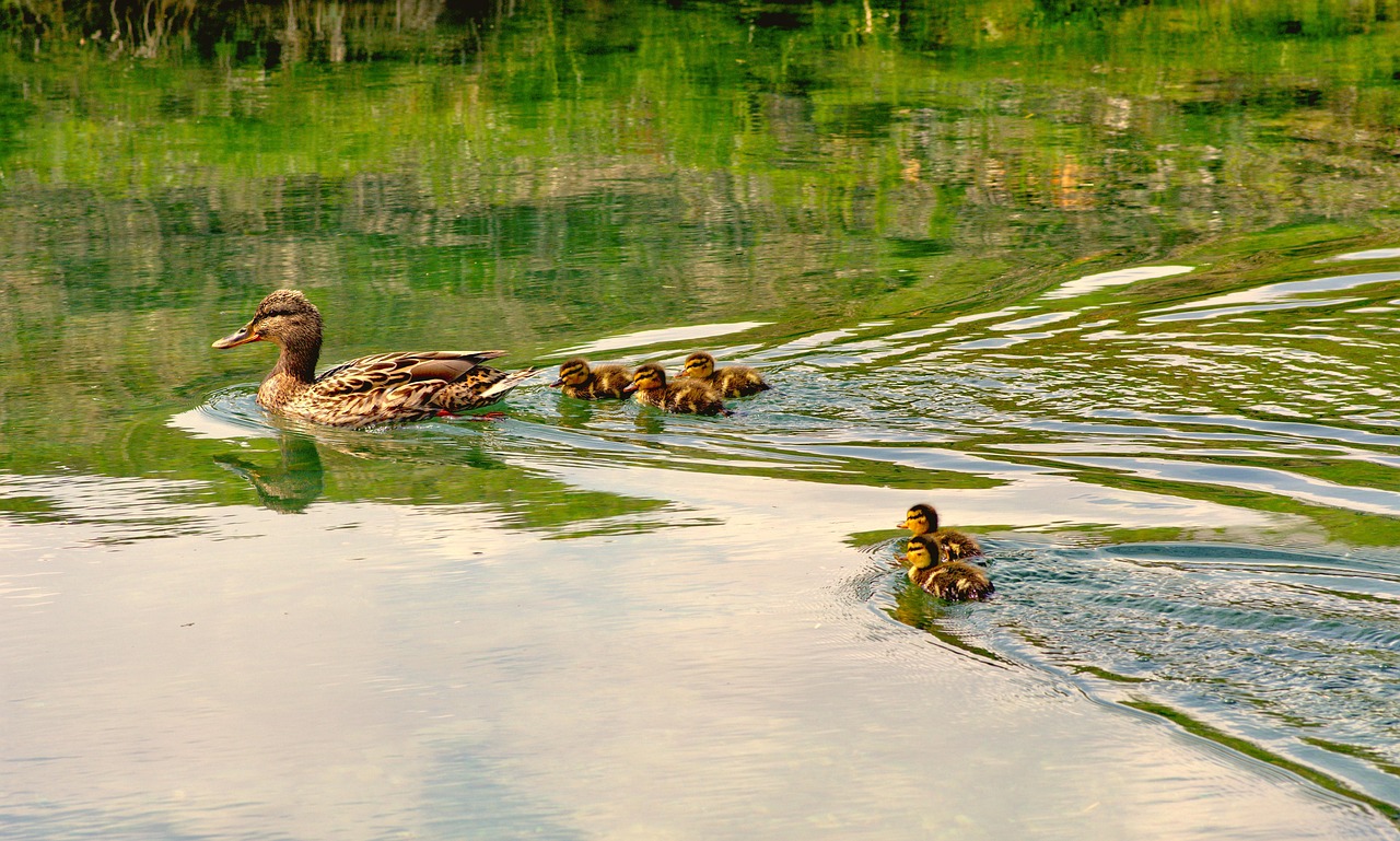 중도상환수수료 계산법