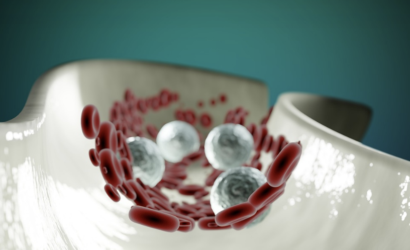 건강한 혈액 순환을 위한 생활 습관