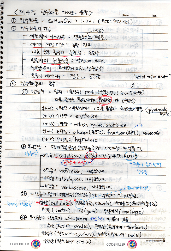 탄수화물 대사와 운반