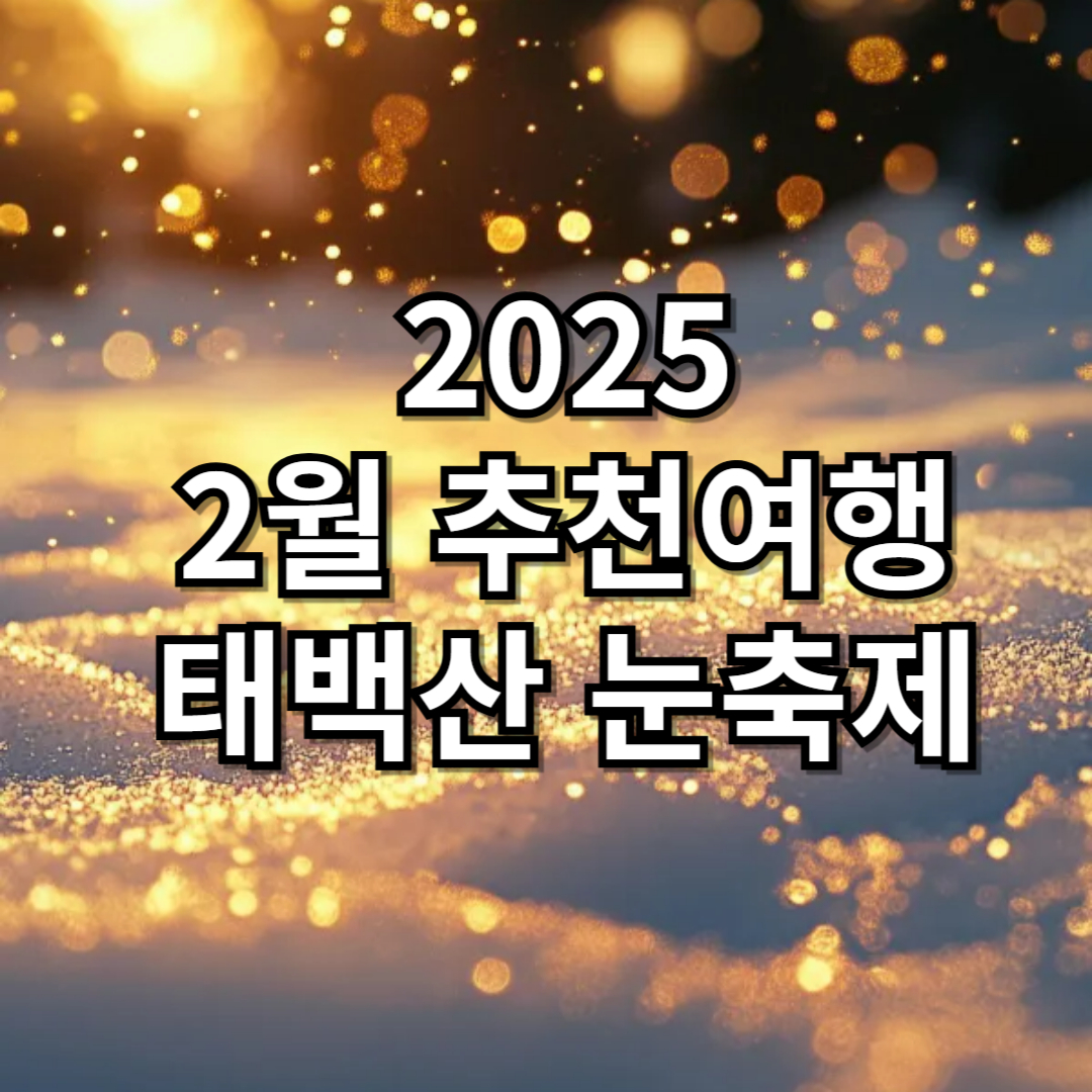 2025년 2월 추천여행 태백산 눈축제