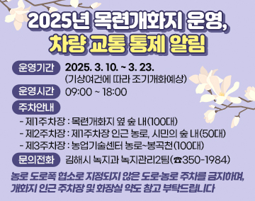 2025 흥동 목련숲