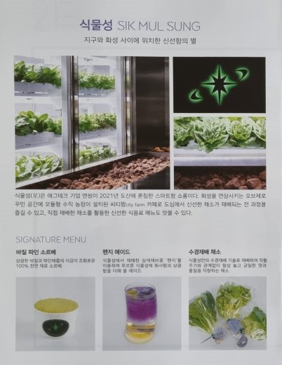 홍보책자-식물성