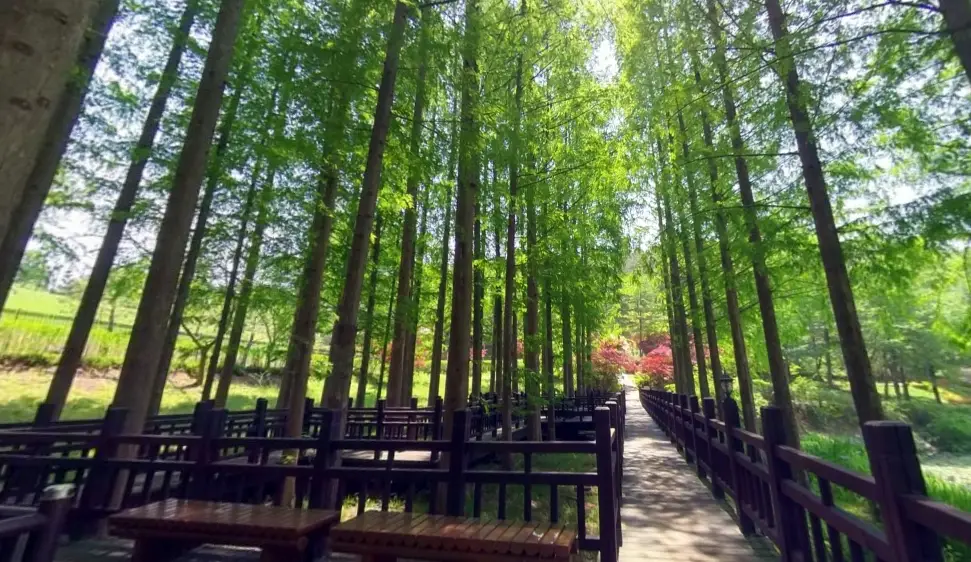 청남대-입장료-할인-무료-입장-관람시간