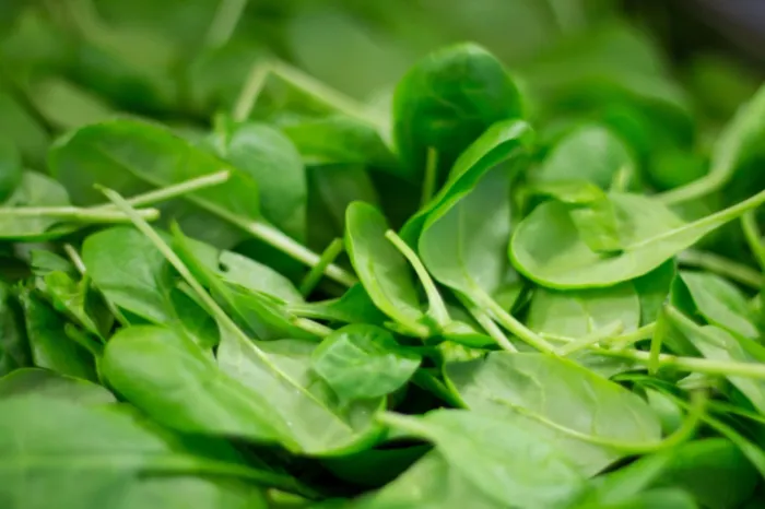 면역력에 좋은 음식