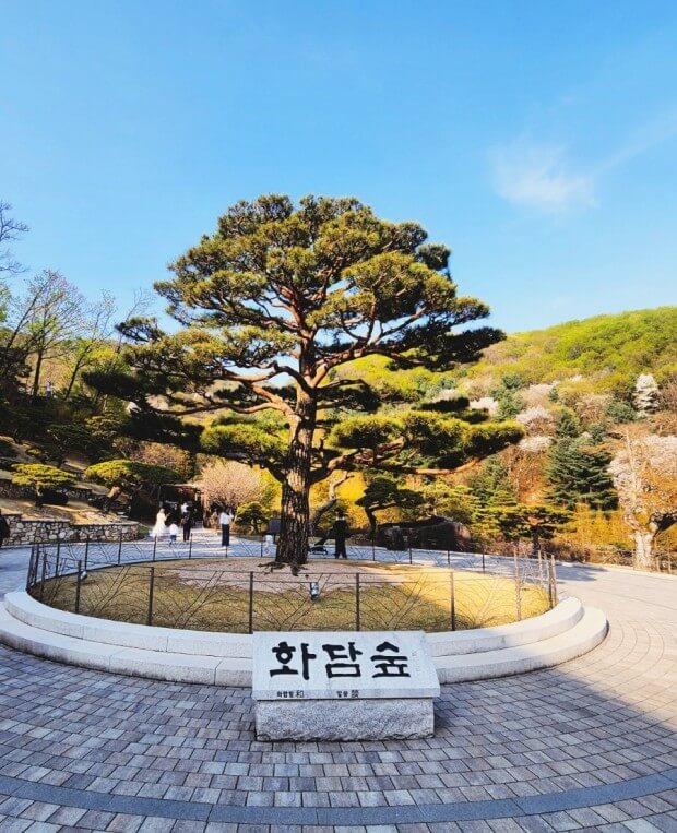 화담숲 정면
