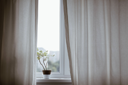 식물 잎이 축 처졌을 때, 바로 살리는 응급처치 가이드 🚑