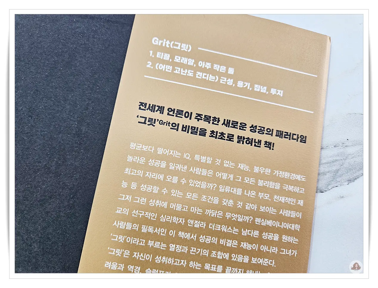 그릿-티끌-근성-투지-용기-성공-패러다임
