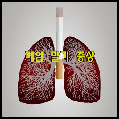 폐암 말기