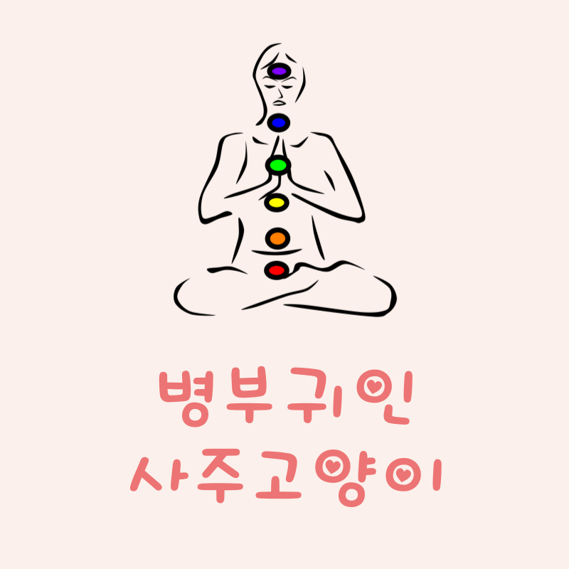 병부귀인이란