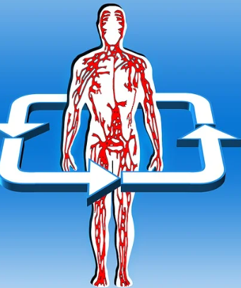 혈액 순환 문제