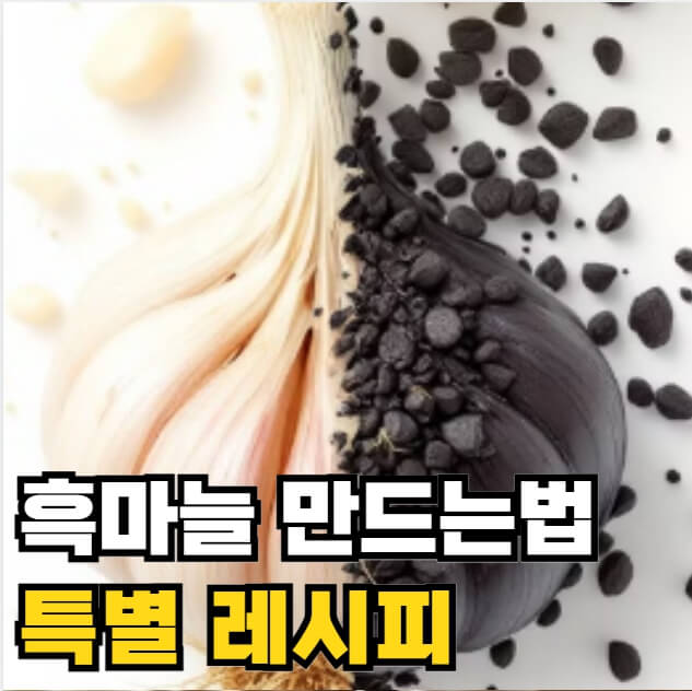 흑마늘 만드는방법