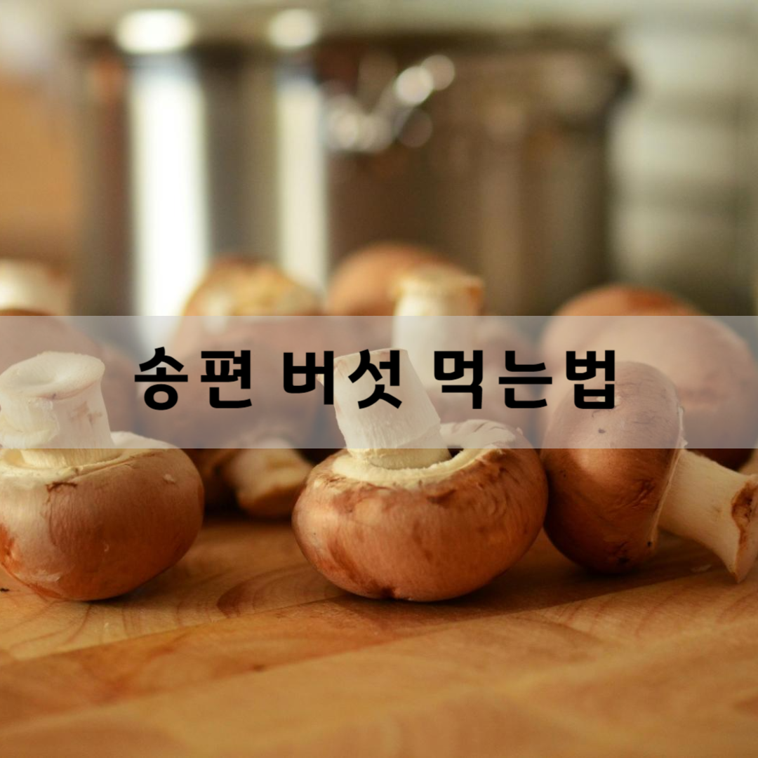 송편-버섯-먹는-법