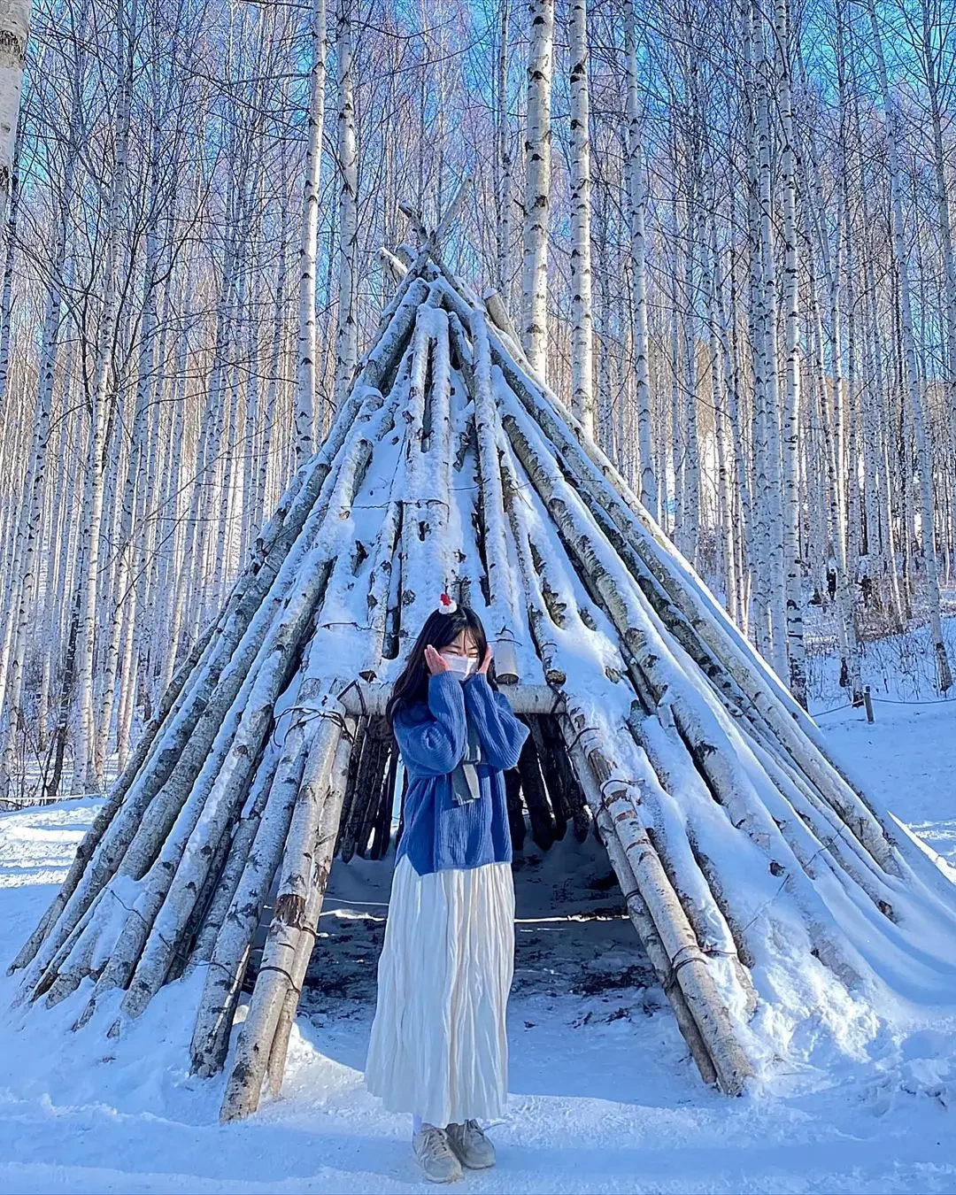 인제 자작나무숲 관련 이미지