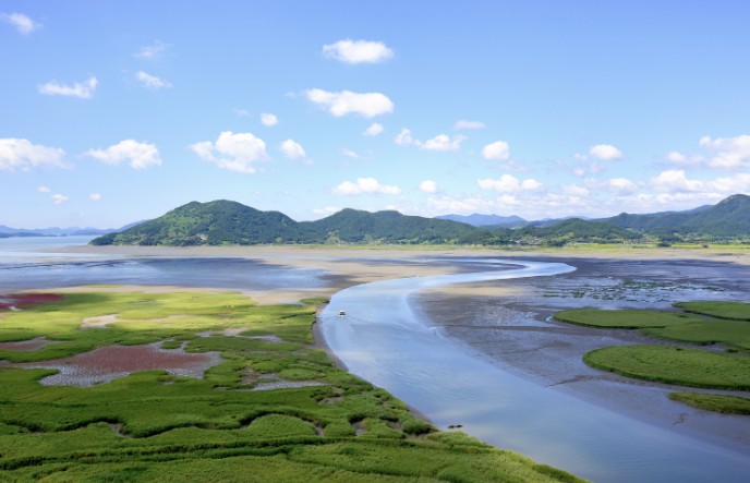 순천만습지 관련 이미지
