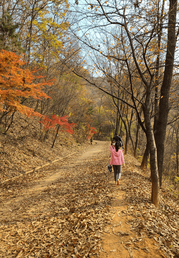 대전 계족산 황톳길