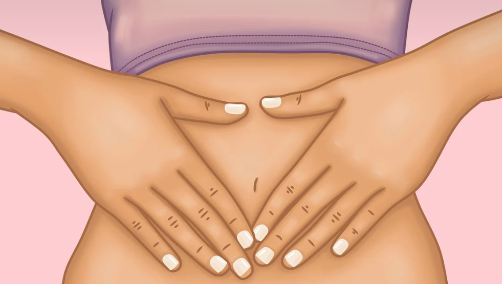 내 몸 장 건강에 관한 이미지