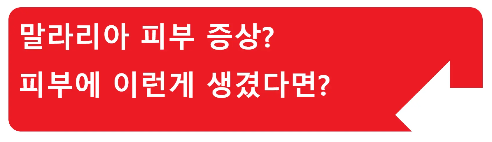 백혈구 수치 낮으면? 우리 몸의 "이 기능"이 약화된 거에요!