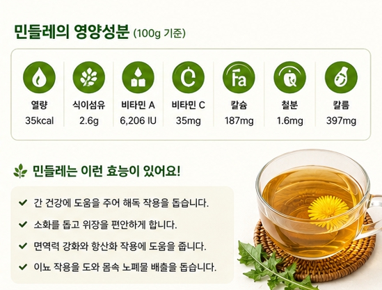 민들레장조림이미지