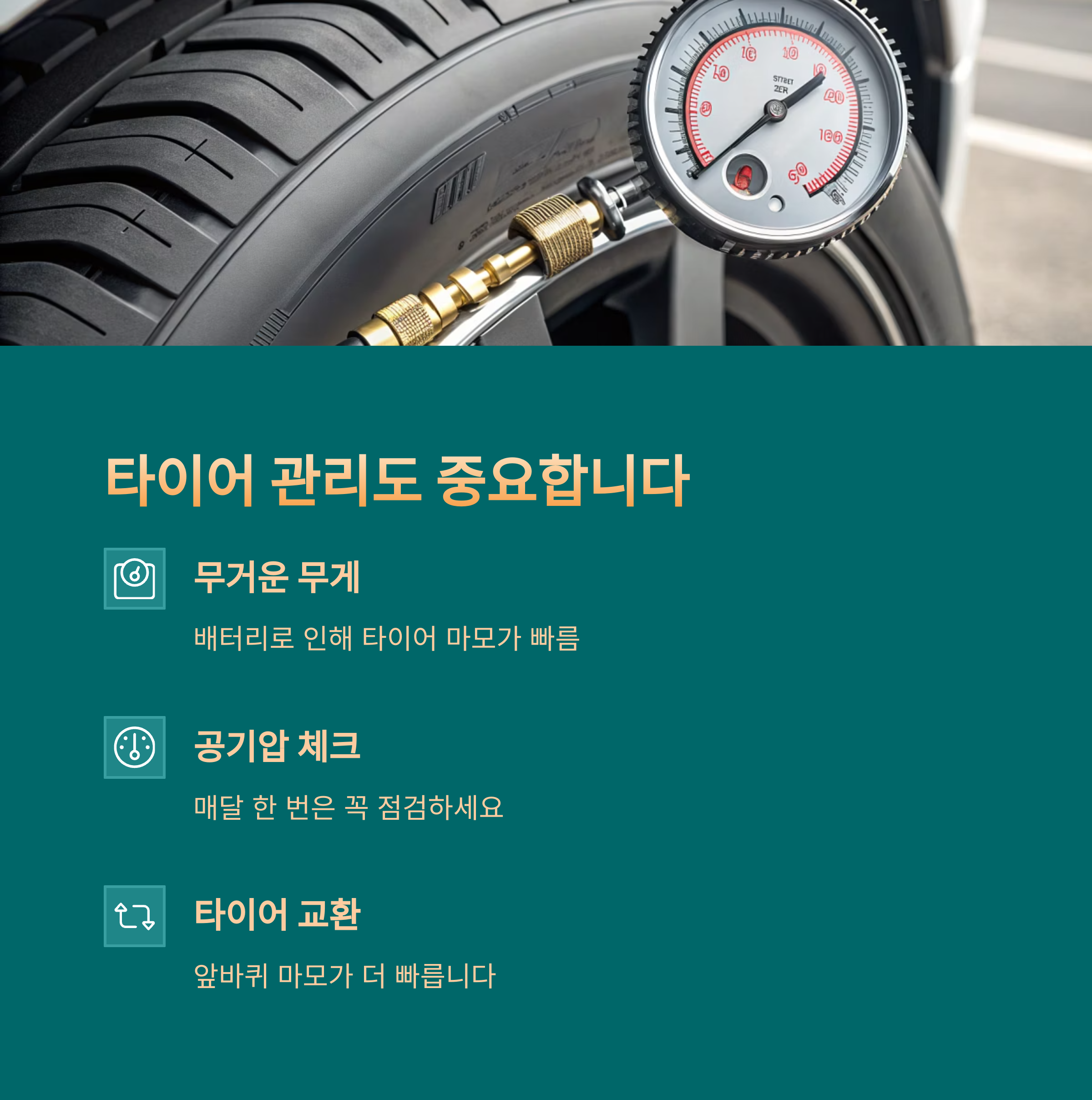 전기차 관리법