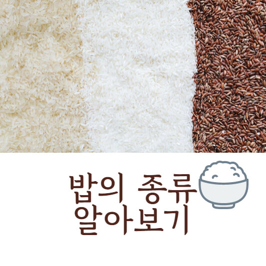 밥의종류