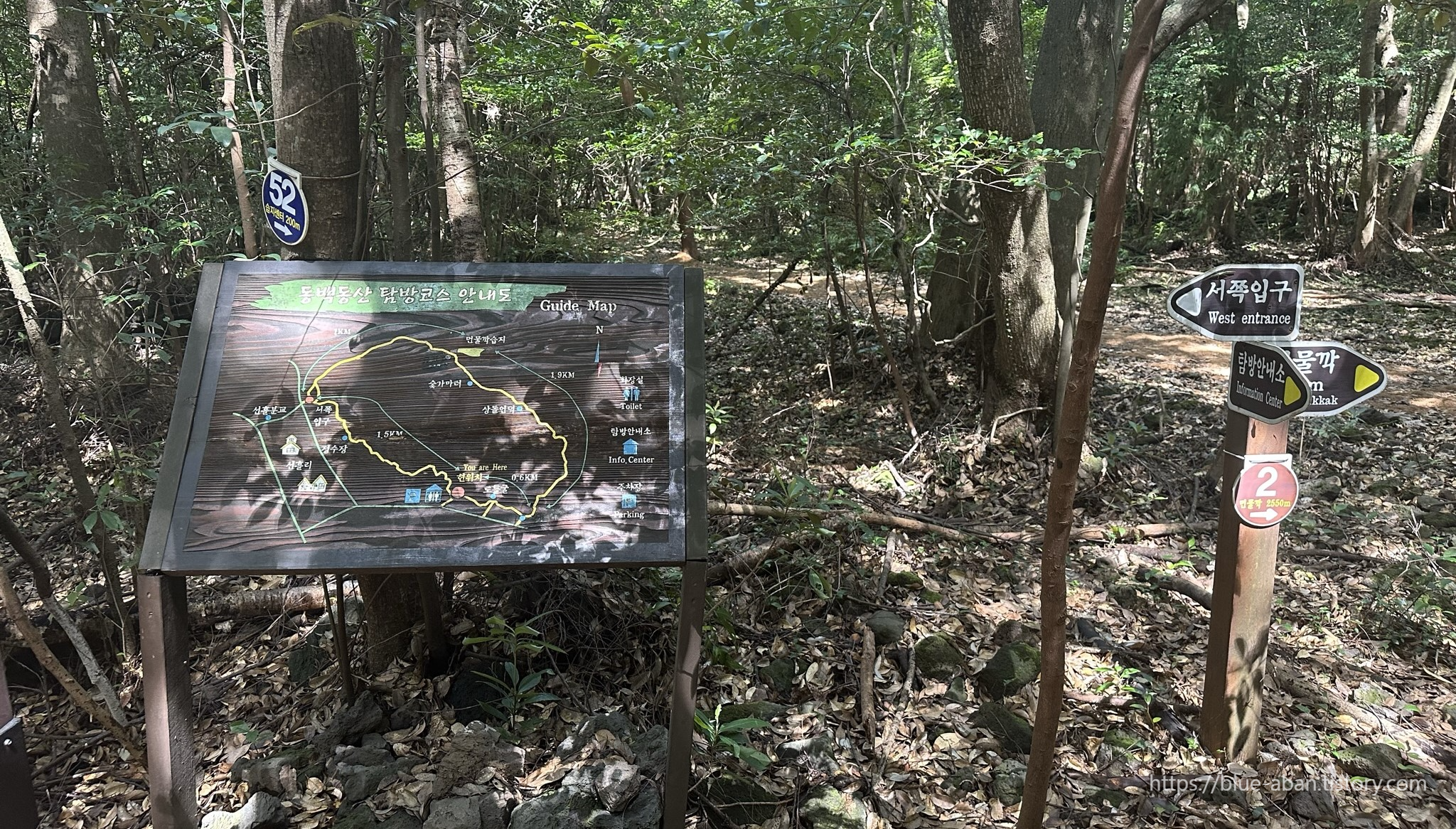 동백동산-산책로