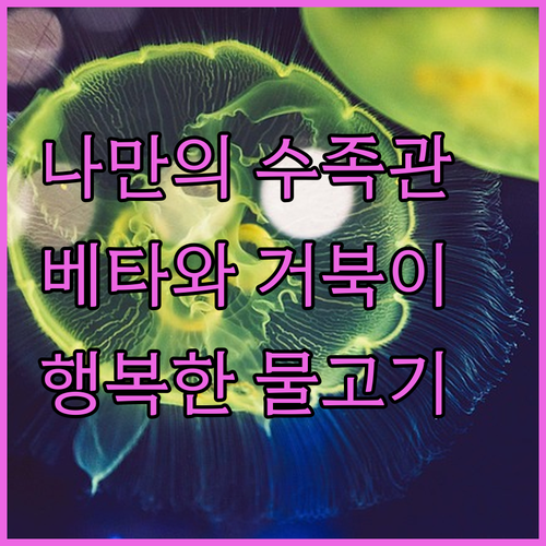 나만의 아쿠아리움 만들기? 베타부터 