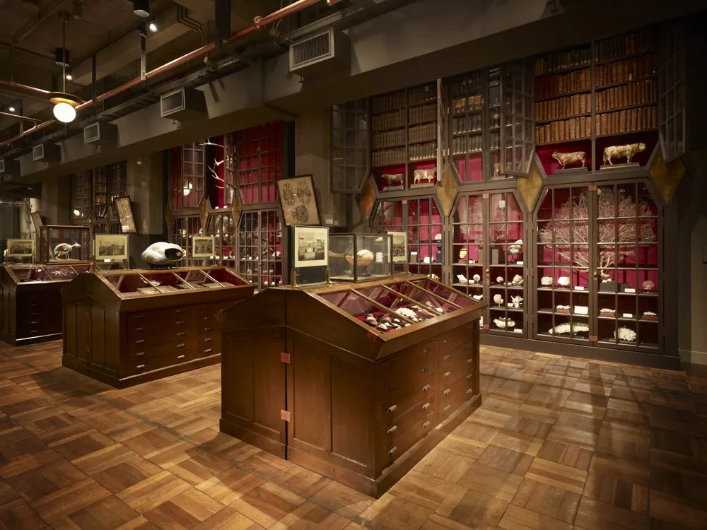 인터미디어테크