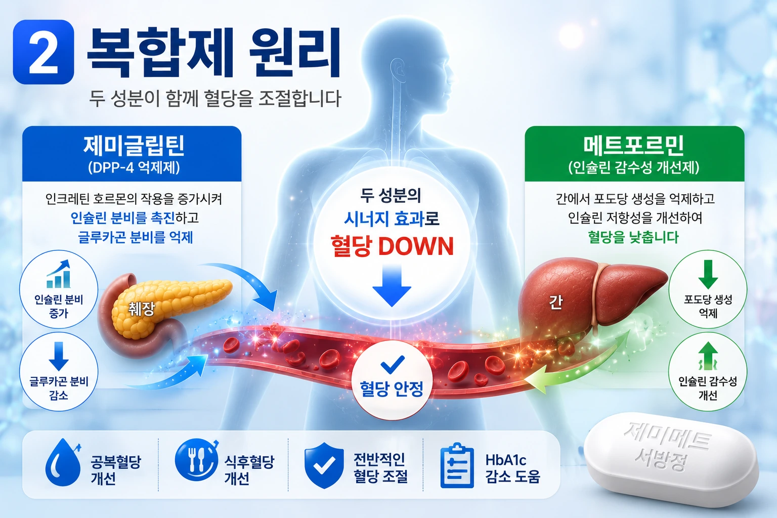 02_복합제원리_제미메트서방정