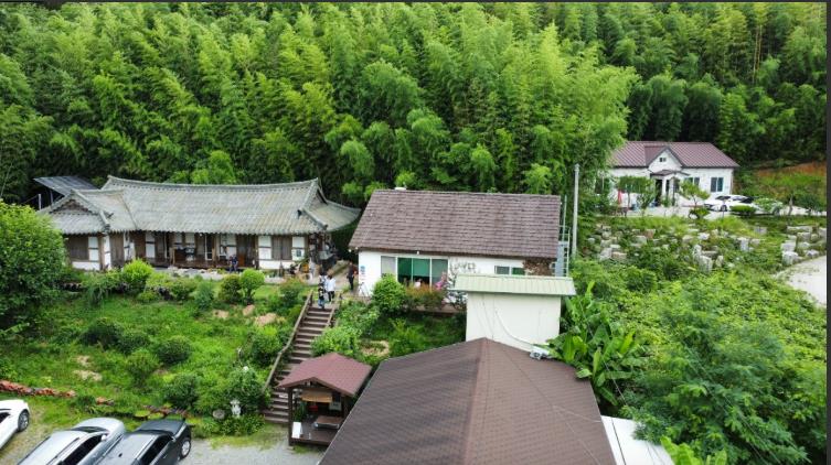 생생정보 나나랜드 대나무숲에서 찾은 행복 민박집