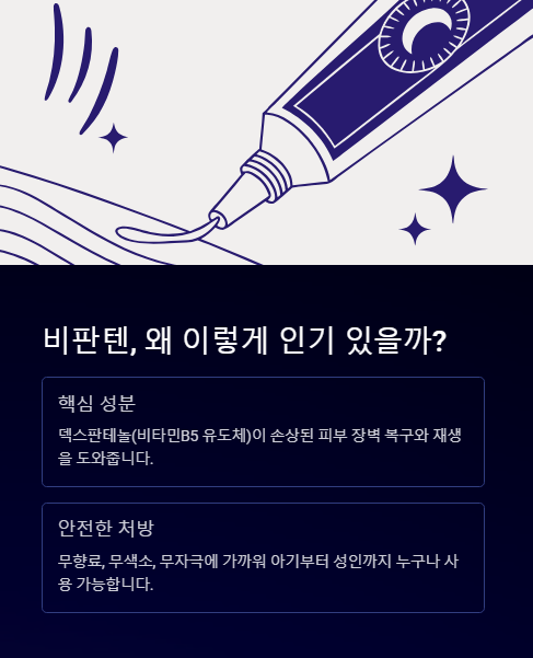 비판텐 왜 이렇게 인기 있을까?