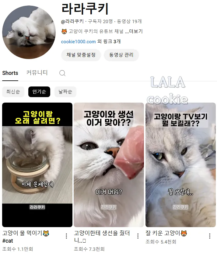 유튜브-채널-소개-인기-영상