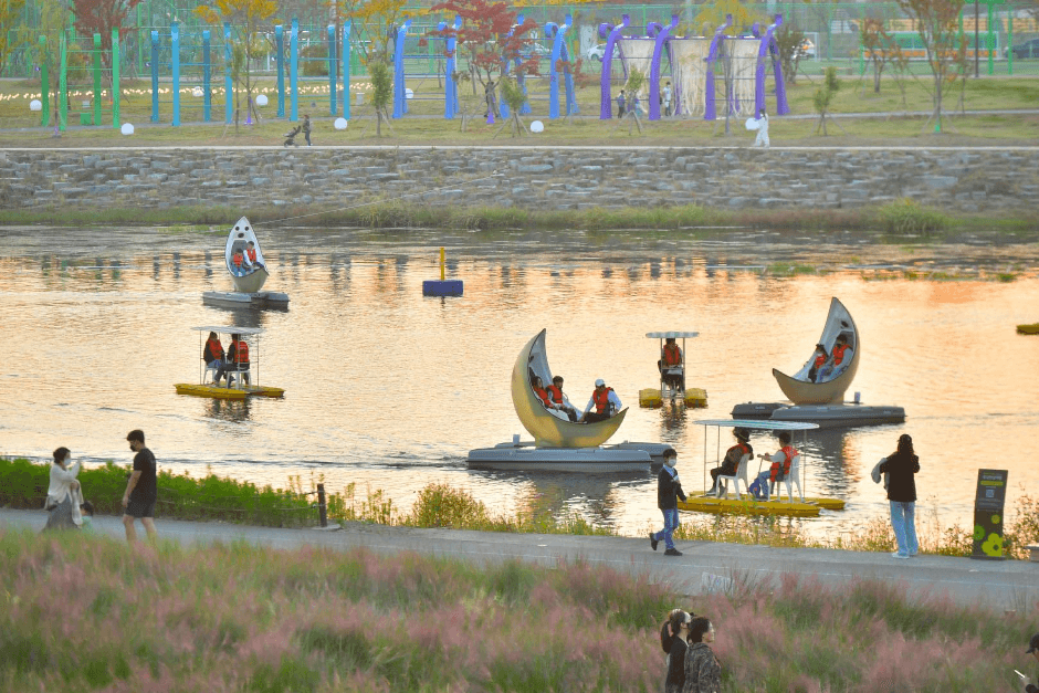 장성 황룡강 홍길동무 꽃길 축제