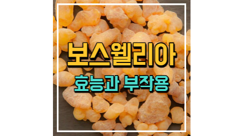 포스팅 썸네일 이미지