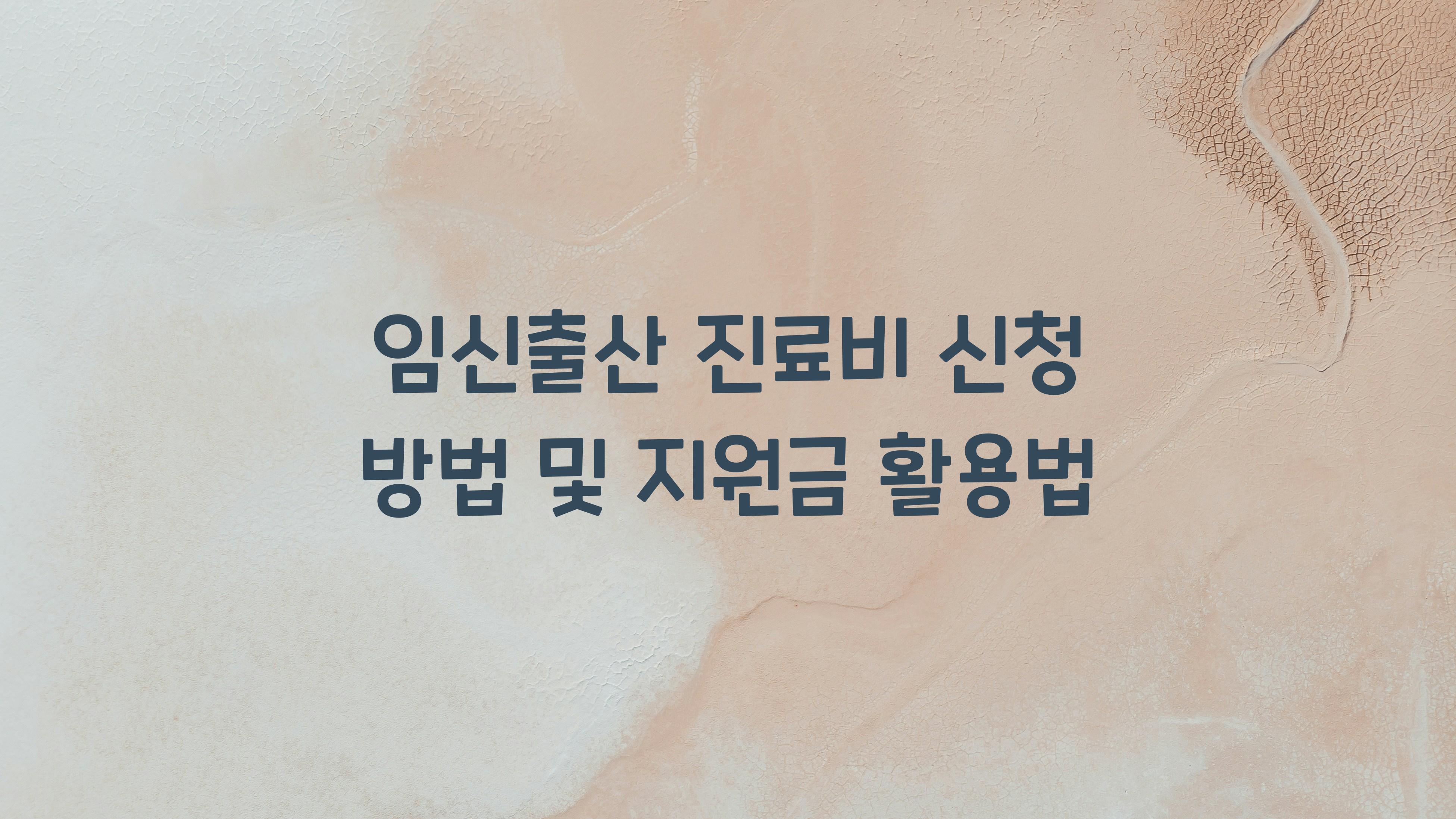 임신출산 진료비 신청